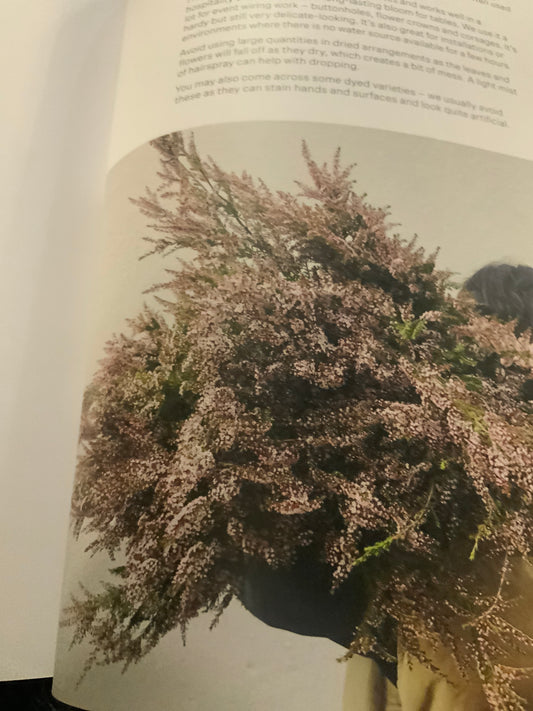 Gramplans Thryptomene