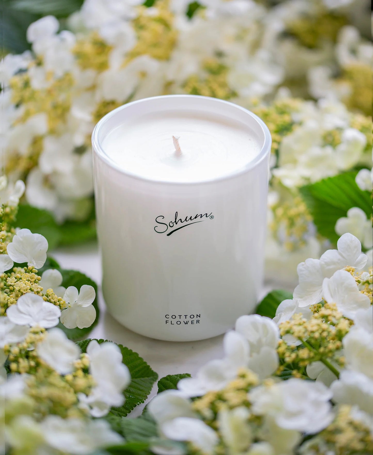 Cotton Flower Signature Candlette