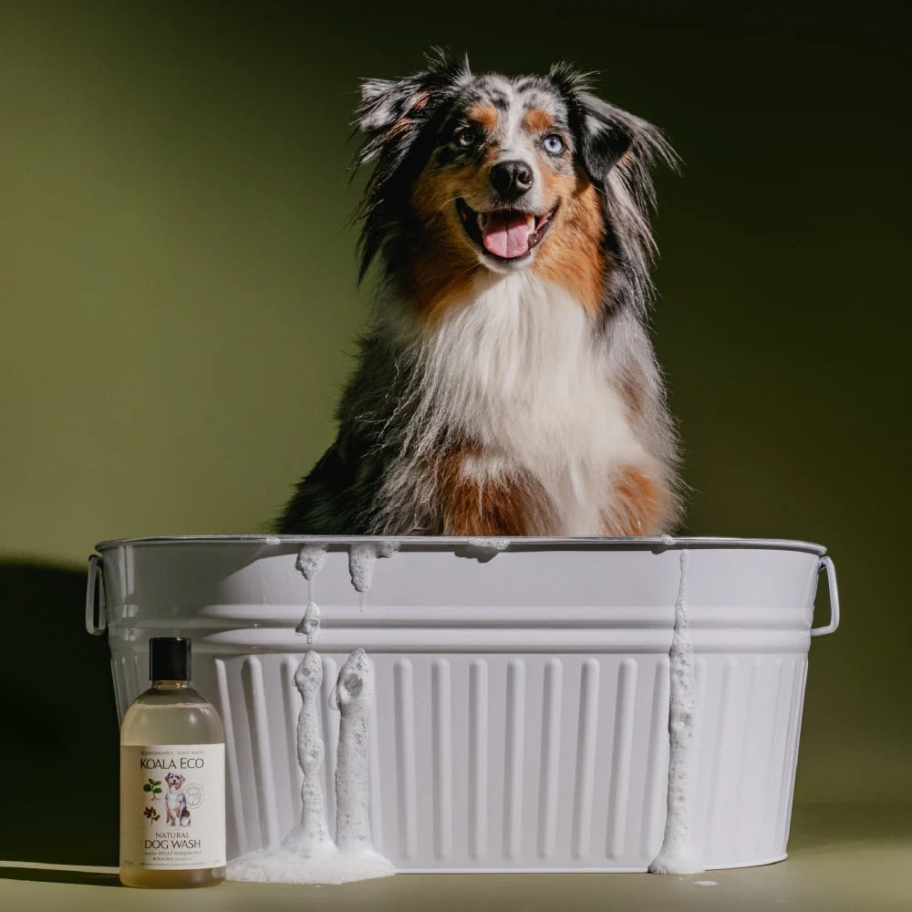 Sweet Marjoram, Rosalina Essential Oil
DOG WASH