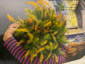Persoonia