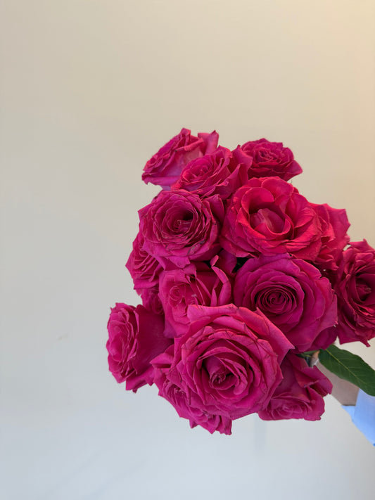Signature Rose - Pink
