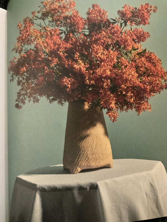 Christmas bush