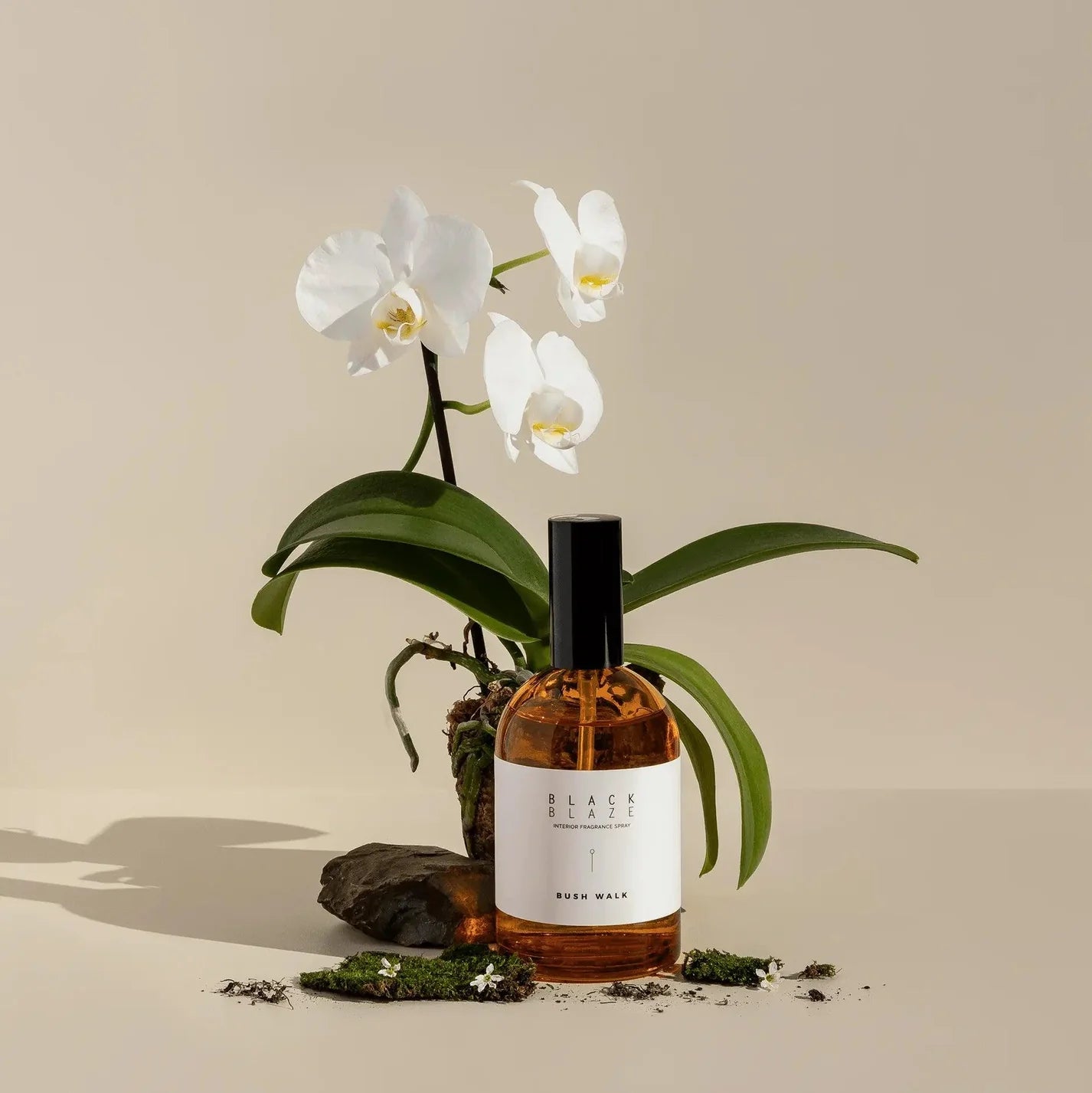 VETIVER & FIG INTERIOR FRAGRANCE SPRAY